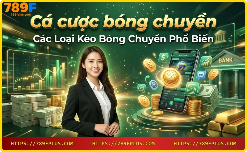 Các loại kèo bóng chuyền phổ biến: kèo chấp, tài xỉu, châu Âu
