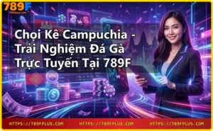 Chọi kê Campuchia truyền thống trong sới gà