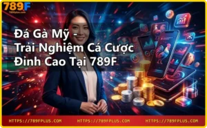 Gà chiến đá gà Mỹ với thể lực vượt trội và kỹ thuật thi đấu