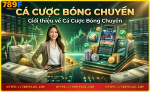 Giới thiệu cá cược bóng chuyền trực tuyến