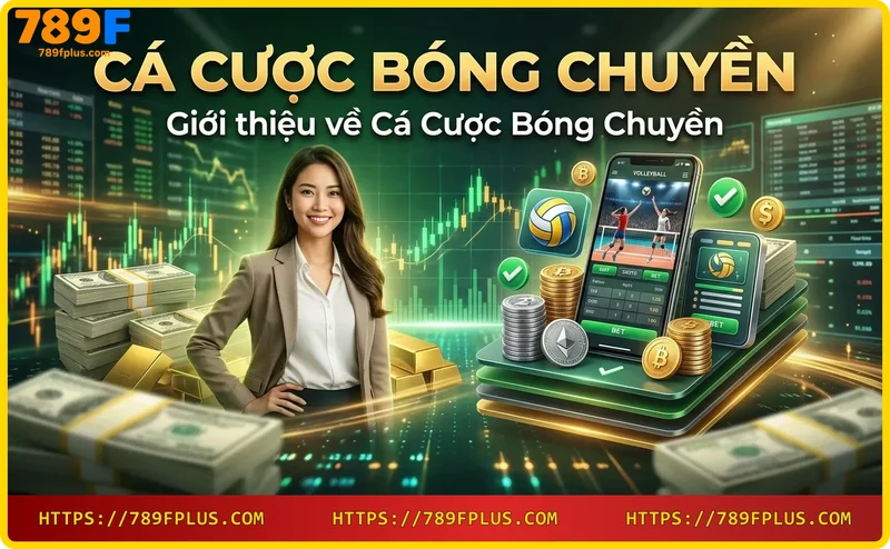 Giới thiệu cá cược bóng chuyền trực tuyến
