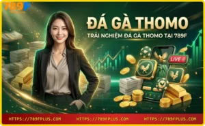 Trải nghiệm đá gà Thomo trực tiếp chất lượng cao tại 789F